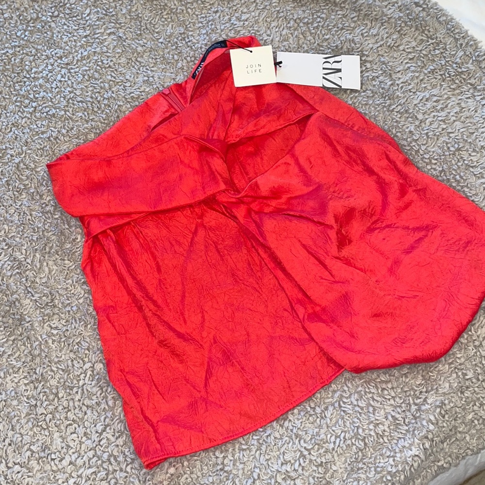 ZARA skirt